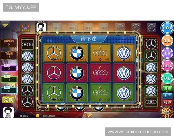 奔驰宝马老虎机原版游戏的隐私保护与账号安全指南