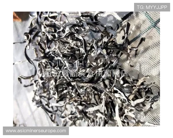 老虎机赚钱微信提现：掌握这些技巧让你在老虎机中轻松赚取微信提现款